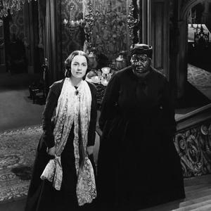 动画埃及猫拔萝卜原创版网站
