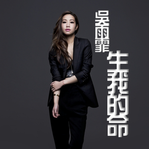 动画埃及猫拔萝卜原创版网站
