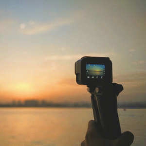 动画埃及猫拔萝卜原创版网站
