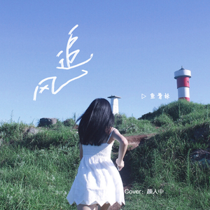 动画埃及猫拔萝卜原创版网站
