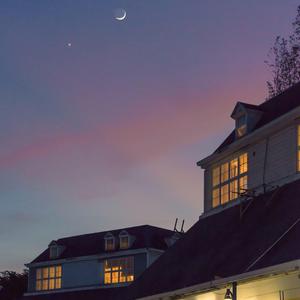 动画埃及猫拔萝卜原创版网站
