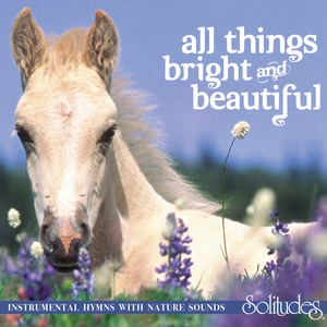 动画埃及猫拔萝卜原创版网站
