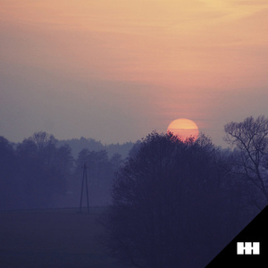 动画埃及猫拔萝卜原创版网站
