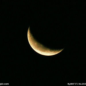 动画埃及猫拔萝卜原创版网站
