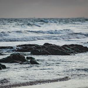 动画埃及猫拔萝卜原创版网站
